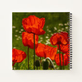 Carnet Champ de coquelicots rouge vif (Dos)