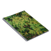 Carnet Champ de fougères (Côté Droit)