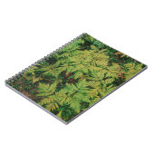 Carnet Champ de fougères (Côté gauche)
