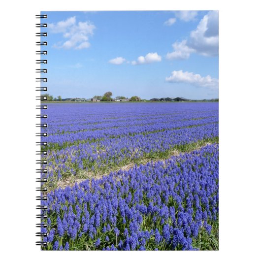 Carnet Champ de Hyacinthes (Devant)