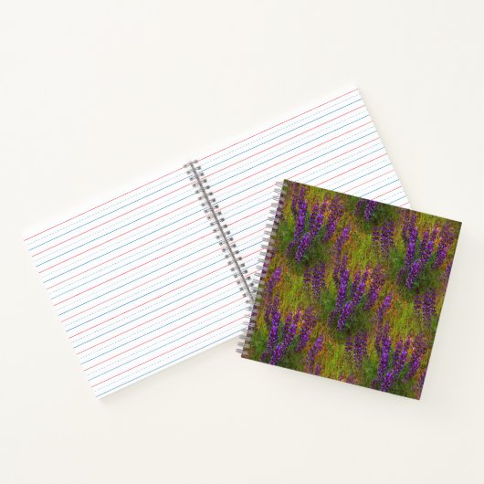 Carnet Champ de Lupines.... (Intérieur)