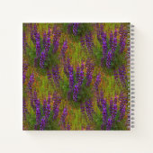 Carnet Champ de Lupines.... (Dos)