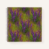 Carnet Champ de Lupines.... (Devant)