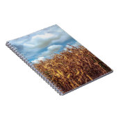 Carnet Champ de Maïs Rustique et Ciel Bleu Dramati (Côté Droit)