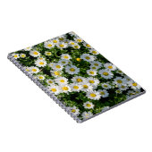 Carnet Champ de marguerite du printemps : Arrière - plan (Côté Droit)