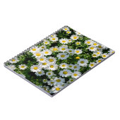 Carnet Champ de marguerite du printemps : Arrière - plan (Côté gauche)