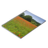 Carnet Champ de pavot, Chiusi, Italie (Côté gauche)