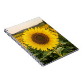 Carnet Champ de tournesols (Côté Droit)