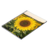 Carnet Champ de tournesols (Côté gauche)