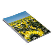 Carnet Champ de tournesols (Côté Droit)