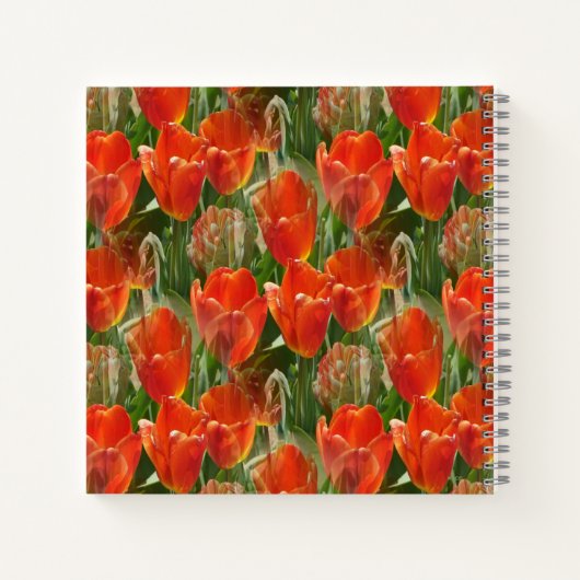 Carnet Champ de tulipes....... (Dos)