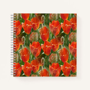 Carnet Champ de tulipes.......