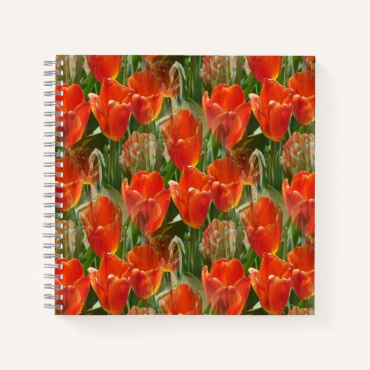 Carnet Champ de tulipes....... (Devant)
