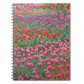 Carnet Champ De Tulipes (Devant)