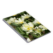 Carnet Champ de tulipes blanches Photo (Côté Droit)