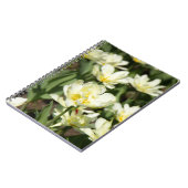 Carnet Champ de tulipes blanches Photo (Côté gauche)