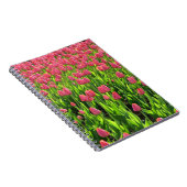 Carnet Champ de tulipes roses (Côté Droit)