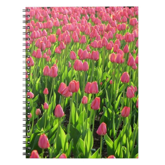 Carnet Champ de tulipes roses (Devant)