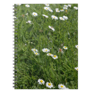 Carnet Champ d'herbe verte avec des fleurs blanches et ja