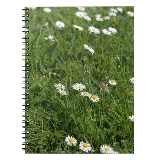 Carnet Champ d'herbe verte avec des fleurs blanches et ja (Devant)