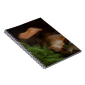 Carnet champignon (Côté Droit)