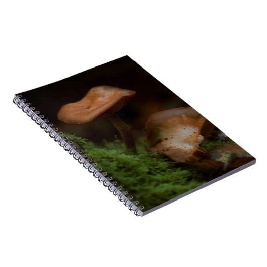 Carnet champignon (Côté Droit)