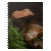 Carnet champignon (Devant)