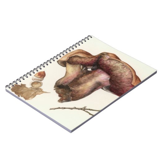 Carnet Champignon (Côté gauche)