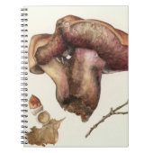 Carnet Champignon (Devant)