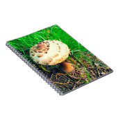 Carnet champignon (Côté Droit)