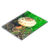 Carnet champignon (Côté gauche)