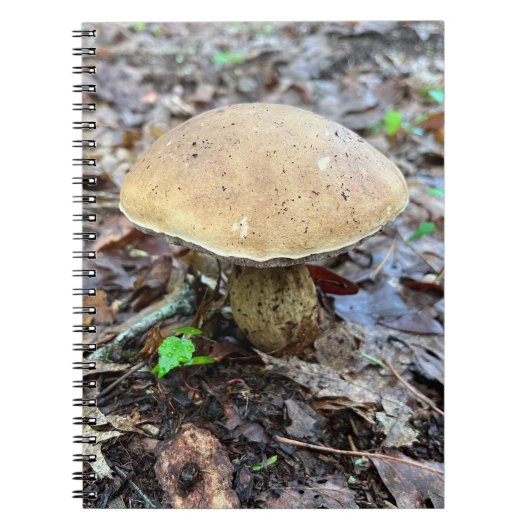 Carnet champignon (Devant)