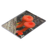 Carnet champignon (Côté gauche)