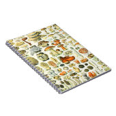 Carnet Champignon Adolphe Millot (Côté Droit)