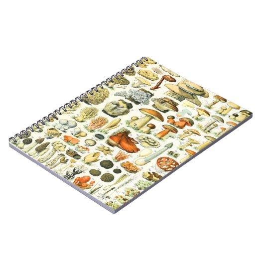 Carnet Champignon Adolphe Millot (Côté gauche)