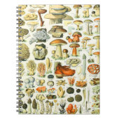 Carnet Champignon Adolphe Millot (Devant)