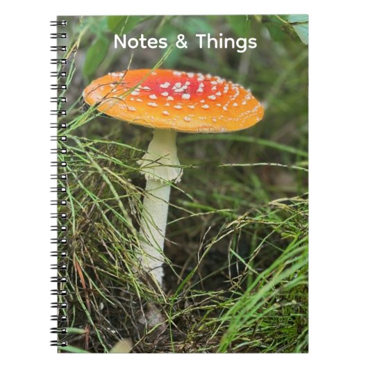 Carnet Champignon de Bois (Devant)