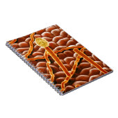 Carnet Champignon de rouille pulvérulente sur la (Côté Droit)