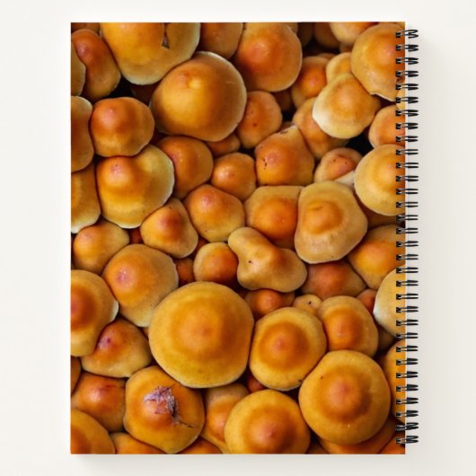 Carnet Champignons (Dos)