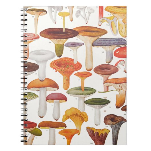 Carnet Champignons de champignons de paris de Les (Devant)