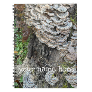 Carnet "Champignons de queue de Turquie"