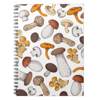 Carnet Champignons dessinés à la main : arrière - plan al