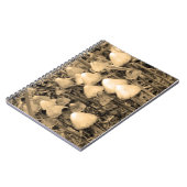 Carnet Champignons en sépia (Côté gauche)