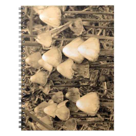 Carnet Champignons en sépia (Devant)