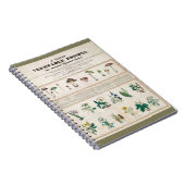 Carnet Champignons toxiques : Irritation de poisons (Côté Droit)