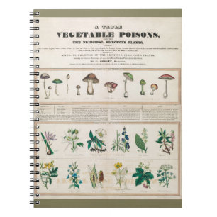 Carnet Champignons toxiques : Irritation de poisons