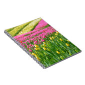 Carnet Champs de couleurs (Côté Droit)