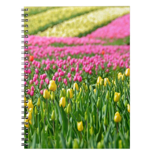 Carnet Champs de couleurs (Devant)
