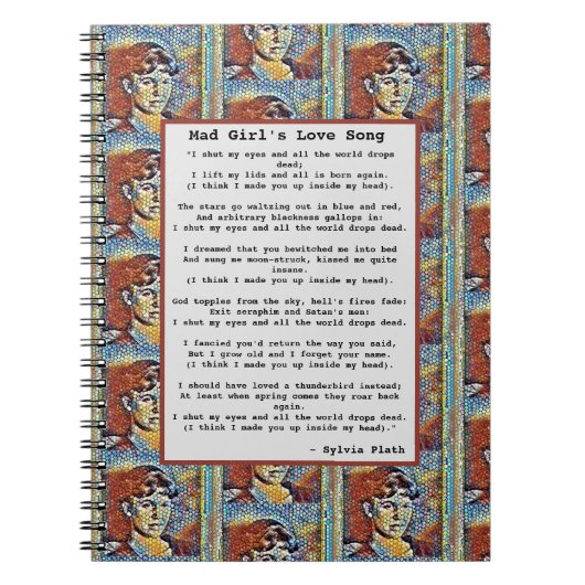 Carnet Chanson d'amour de la fille folle (Devant)