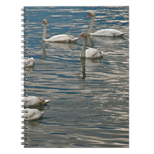 Carnet Chant du cygne